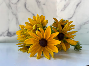 
            
                Load image into Gallery viewer, Rudbeckia-Yellow
            
        
