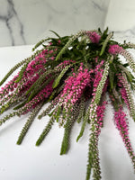 Veronica-Hot Pink
