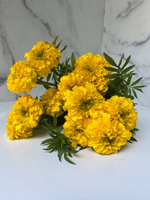 
            
                Load image into Gallery viewer, Marigold-Yellow
            
        