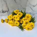 Marigolds Bulk with Stem-Yellow