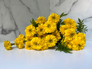 Marigold-Yellow