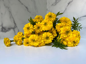 Marigolds Bulk with Stem-Yellow