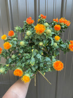 Safflower-Yellow/Orange