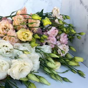 Lisianthus-any