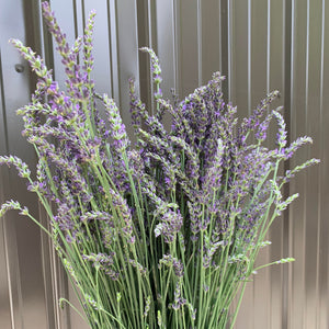 
            
                Load image into Gallery viewer, Lavender-Fresh
            
        
